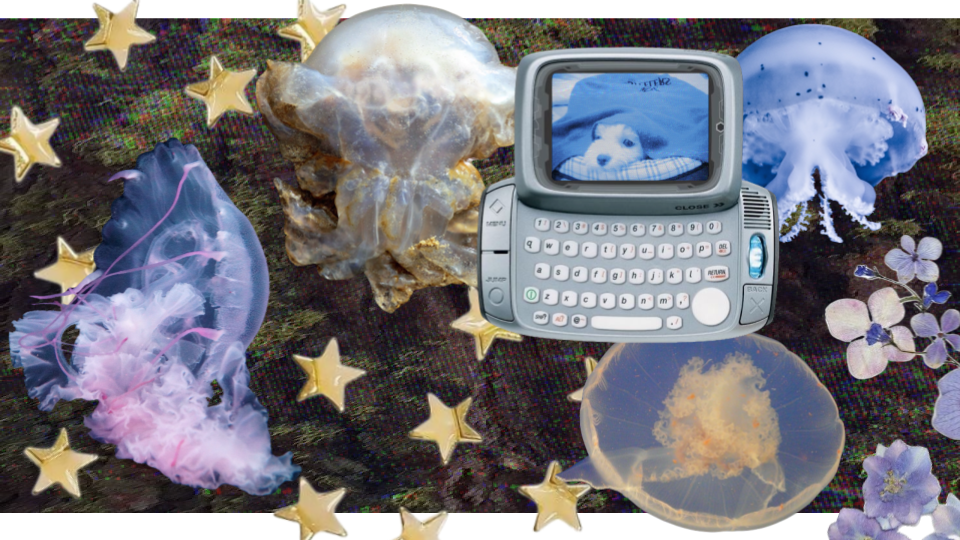 digital collage featuring golden star stickers, colorful jellyfish, purple flowers, and a flip phone showing a blue-tinted photo of a dog under a blanket. these images are over a grainy image of moss.