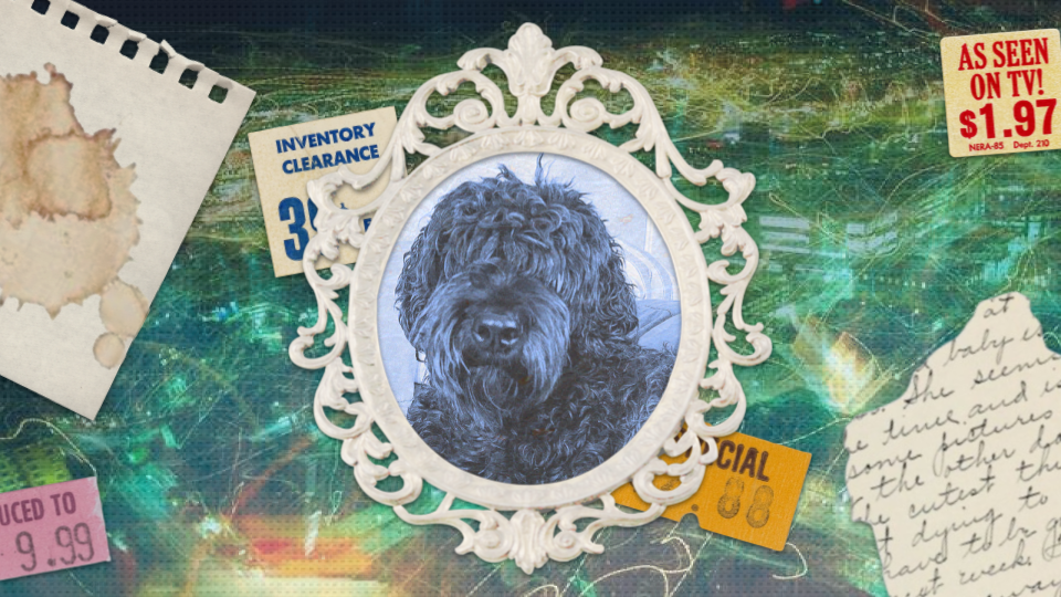 a collage featuring sale stickers, ripped and stained paper, and an ornate white frame with a photo of a black dog over an abstract green background showing streaks of light.
