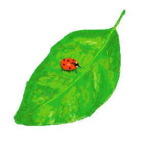 a drawing of a ladybug on a leaf