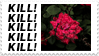 a stamp-shaped image that reads Kill! Kill! Kill! Kill! Kill! on the left, and to the right of the text is a glittering rose